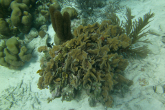 PICT0132