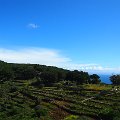 P1016657