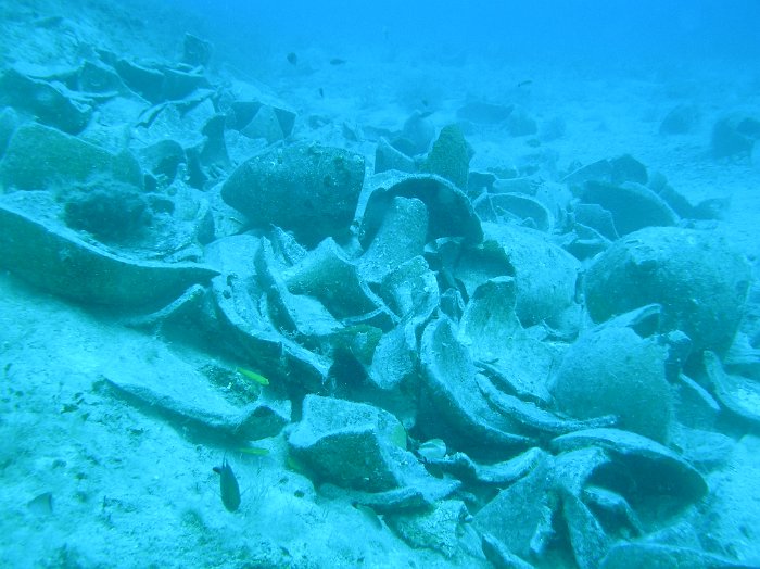 P7010144