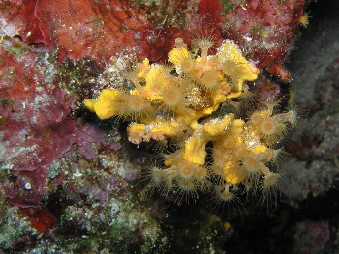 P7060268