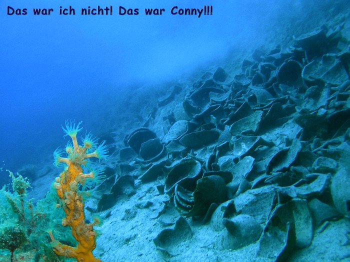 amphoren ich nicht