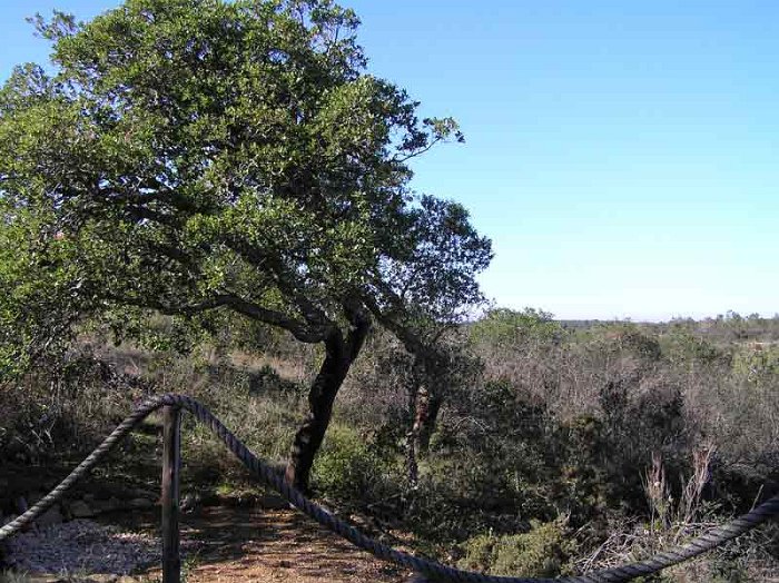 Conrady-Portugal061070052