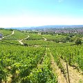 20200727_131933.jpg