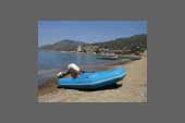 Boote