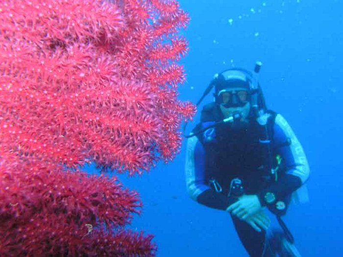 P5280013