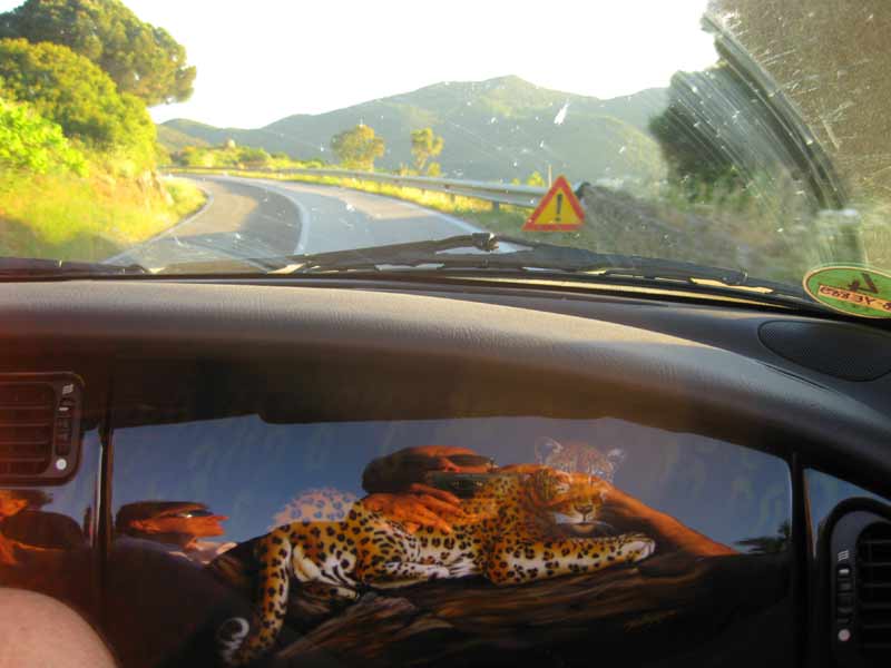 Jaguar.jpg