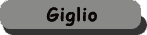giglio