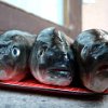 Fische